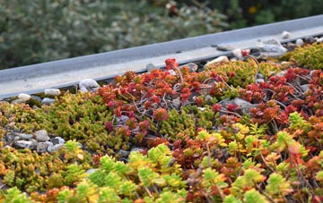 the cost of Shutta green roof installation